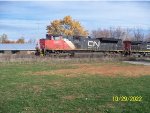 CN 8904